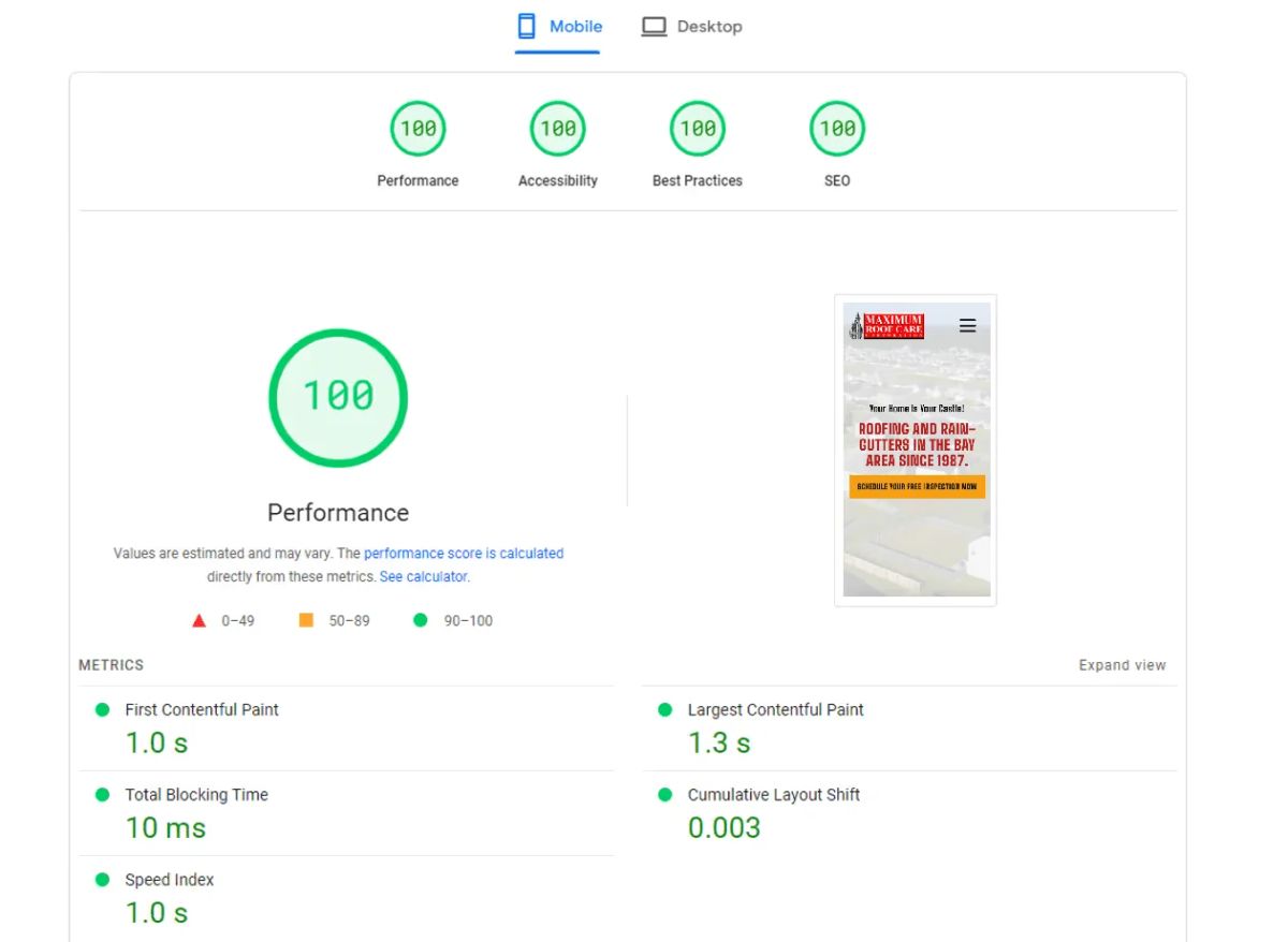 Google PageSpeed Insights showing 100 scores